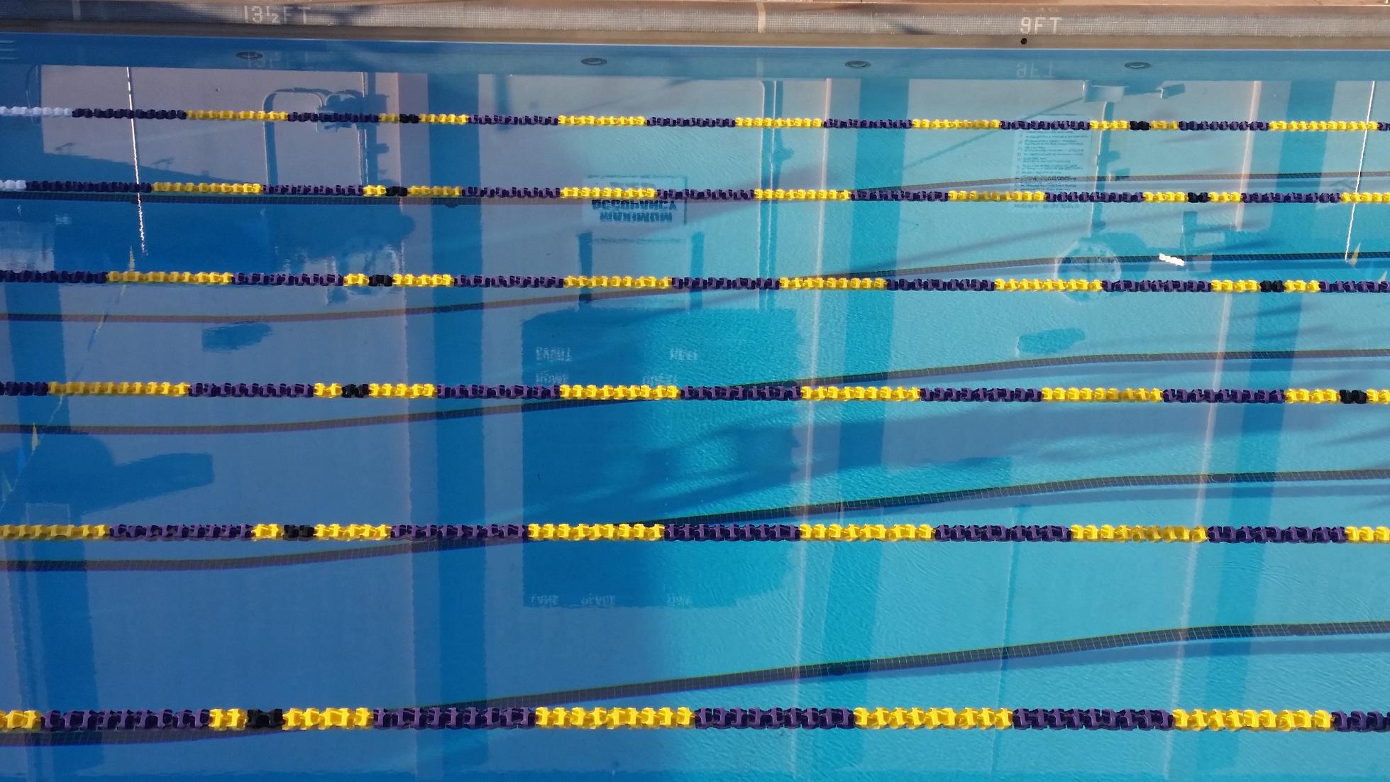 Men's Swimming & Diving Recruit Form